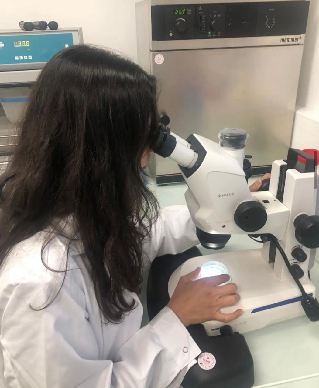 Perla Makhoul at a stereomicroscope