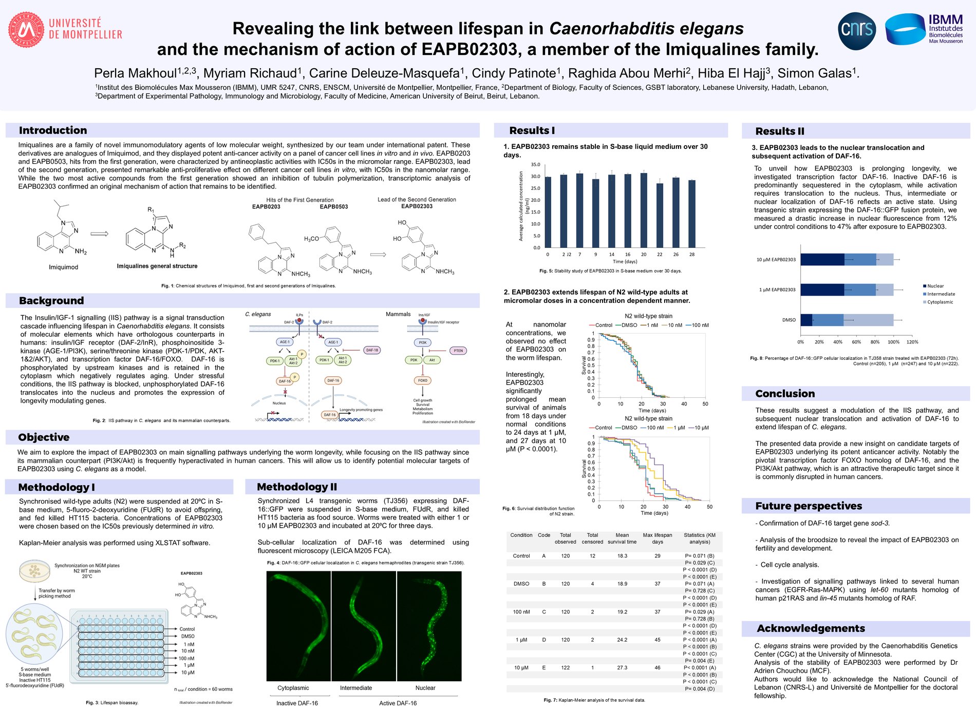 Conference poster on lifespan and the mechanism of action of imiqualines in C. elegans