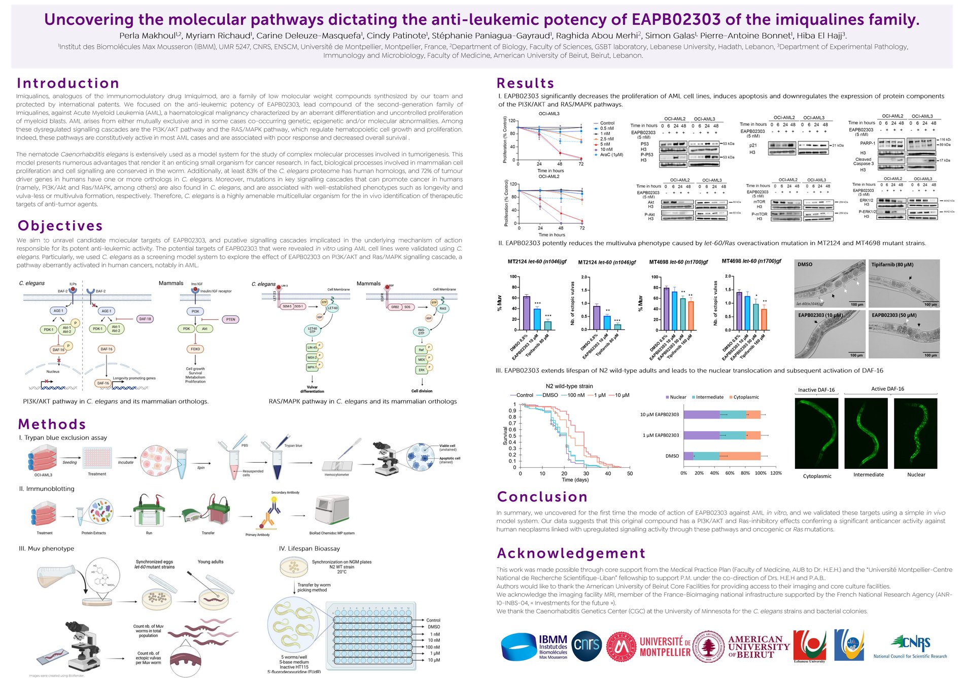 Conference poster on the molecular pathways dictating the anti-leukemic potency of EAPB02303